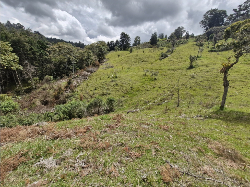 Lote Independiente para venta en Rionegro - El Tablazo — foto 5