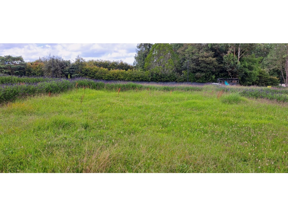 Lote en parcelación para Venta en Rionegro - Rural — foto 2