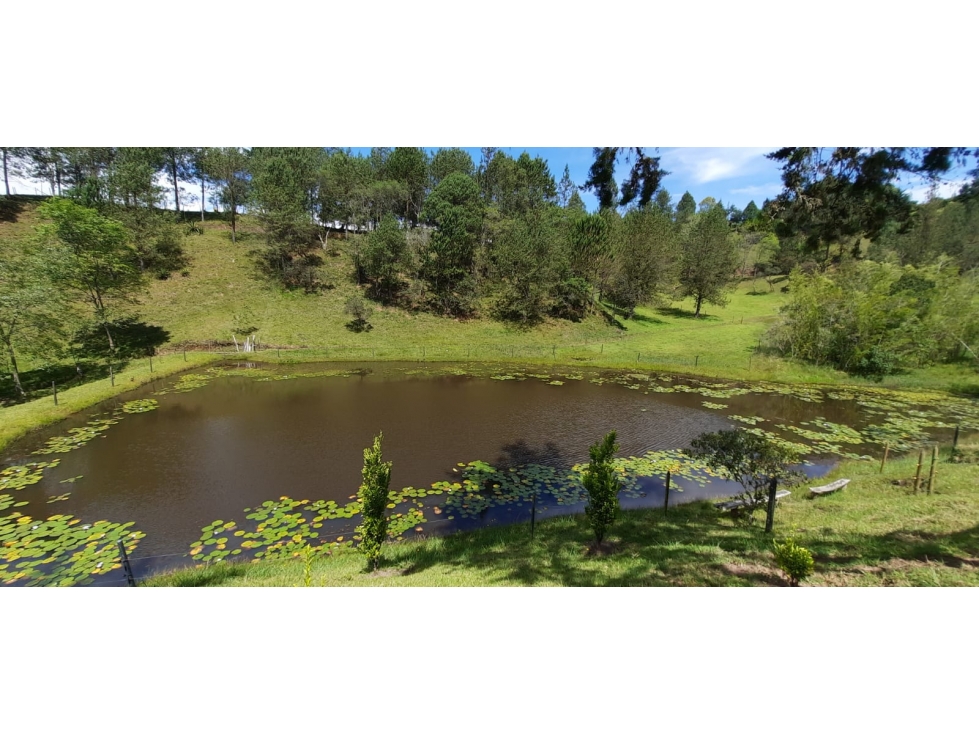 Finca en Venta en Rionegro - Santa Barbara