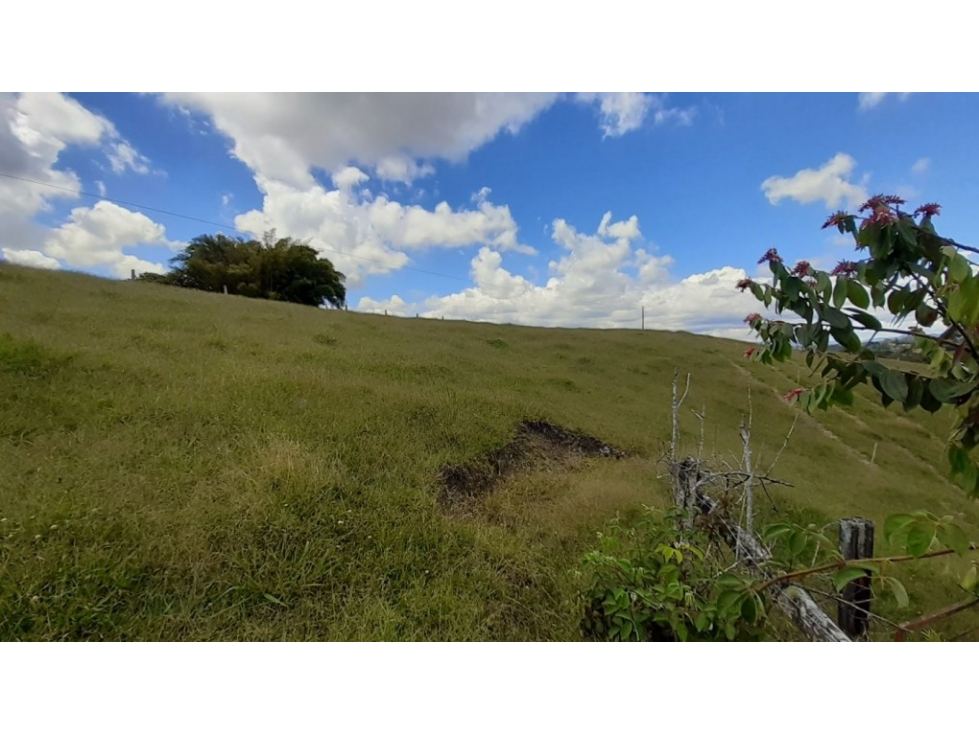 Lote en Venta en El Carmen de Viboral - Vía San Antonio - La Ceja — foto 5