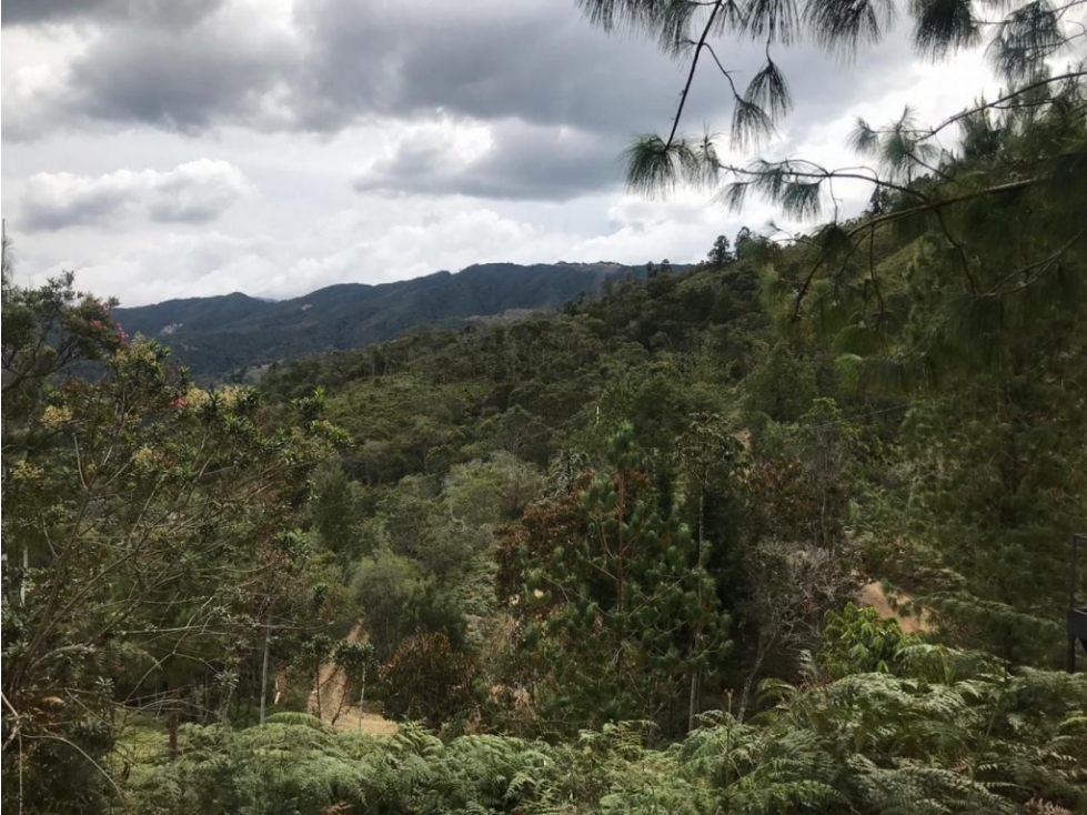 Lote en Venta en El Retiro - El Salado — foto 3