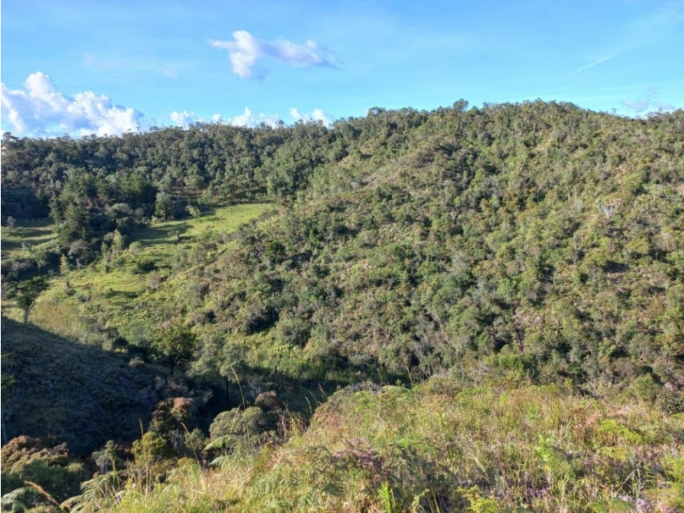 Lote en Venta en San Vicente - Vereda El Calvario — foto 4