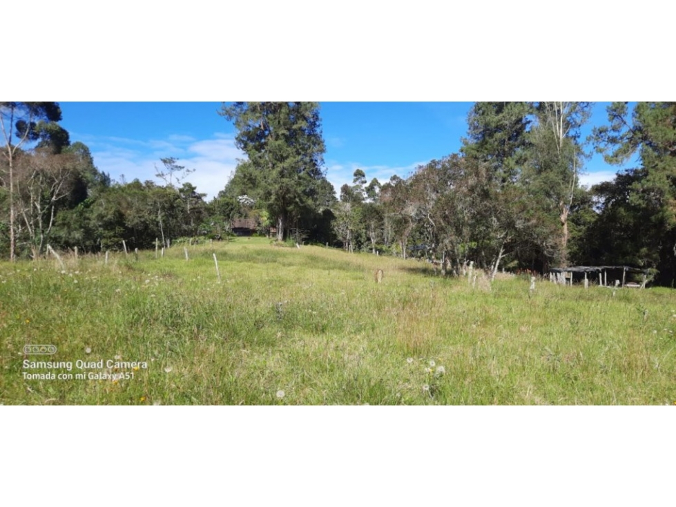 Finca en Venta en Envigado - Vereda Pantanillo — foto 5