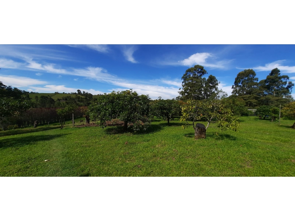 Lote en Venta en El Carmen de Viboral - Rural — foto 3