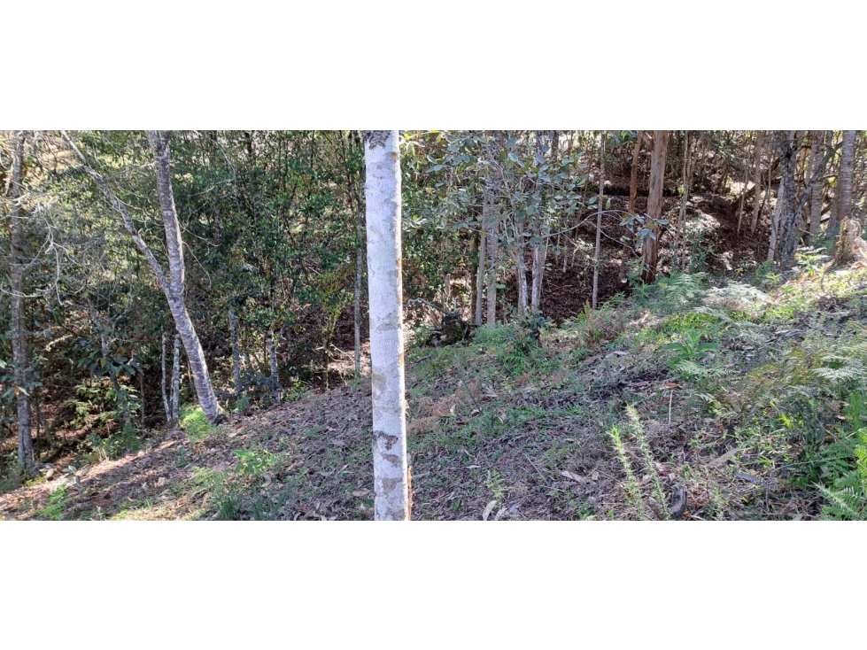 Lote independiente para venta en Rionegro - Alto del Perro — foto 6