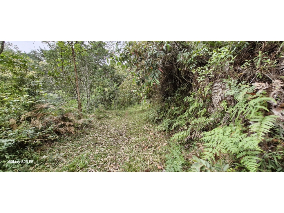 Lote para venta en Rionegro - La Convención — foto 4