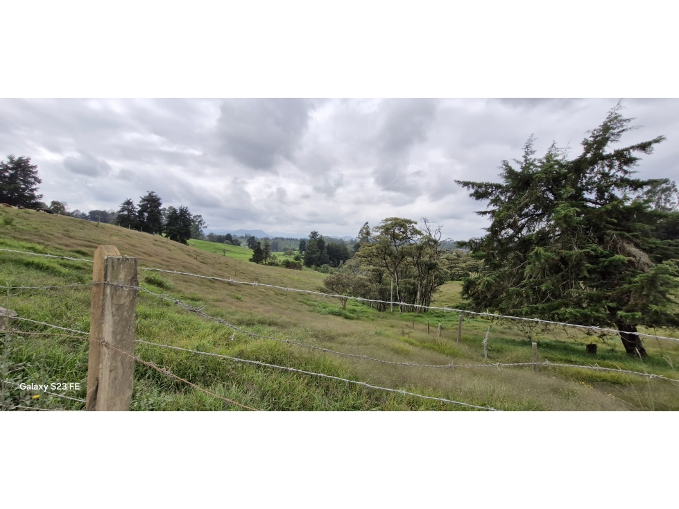 Lote para venta en Rionegro - Aeropuerto