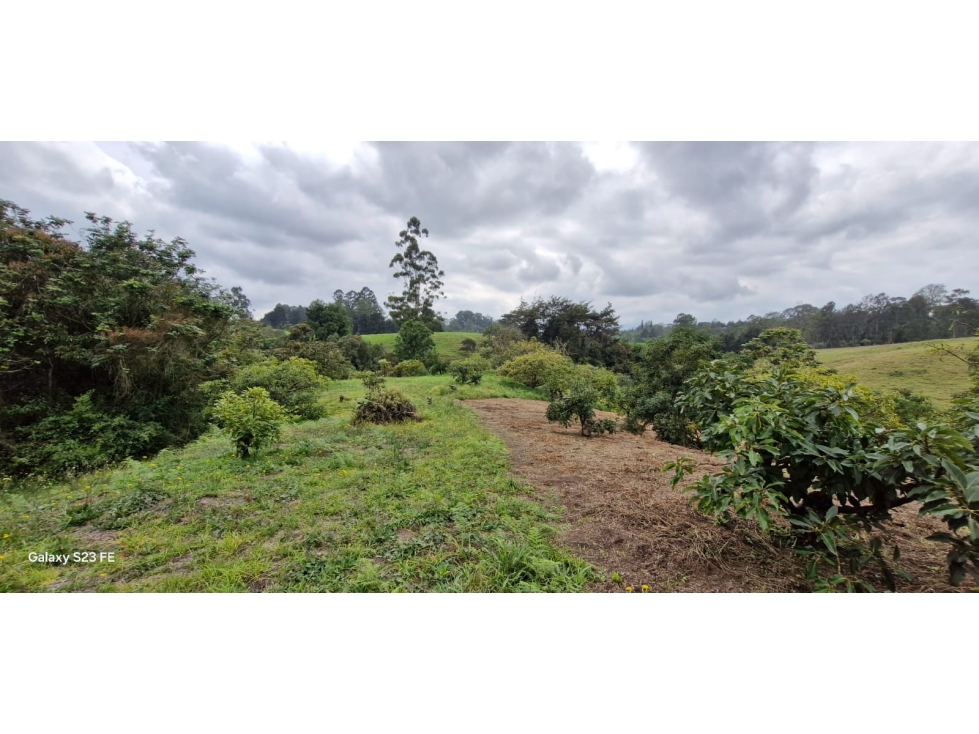 Lote para venta en Rionegro - Aeropuerto