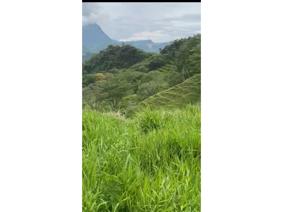 Lote en parcelación para Venta en Amaga- Rural - 4