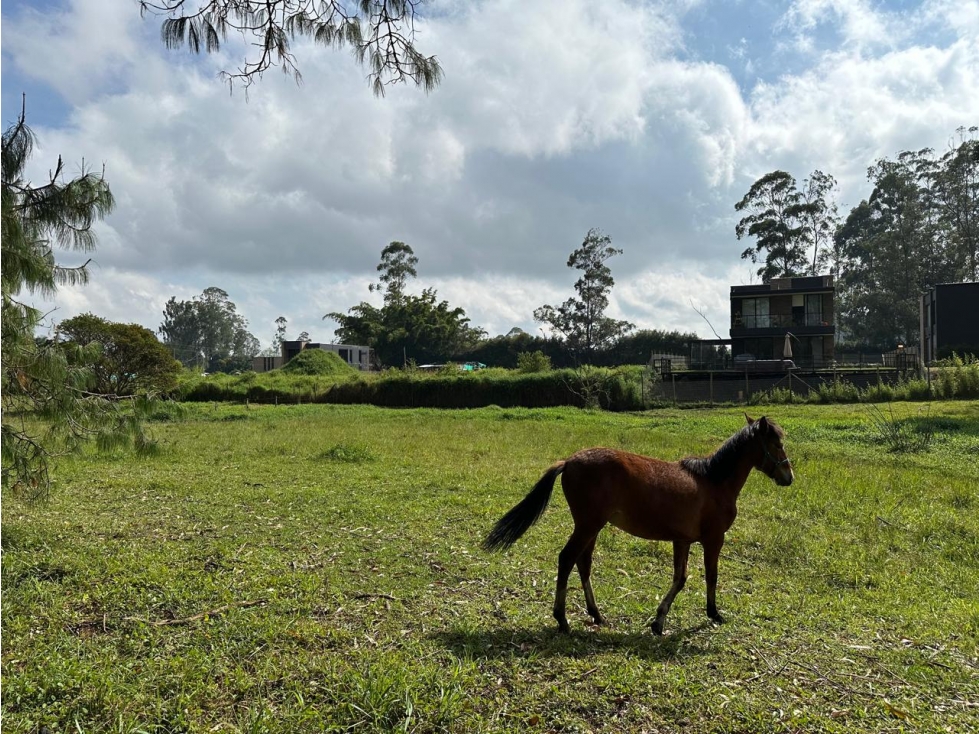 Lote Independiente para venta en Rionegro - Rural — foto 3