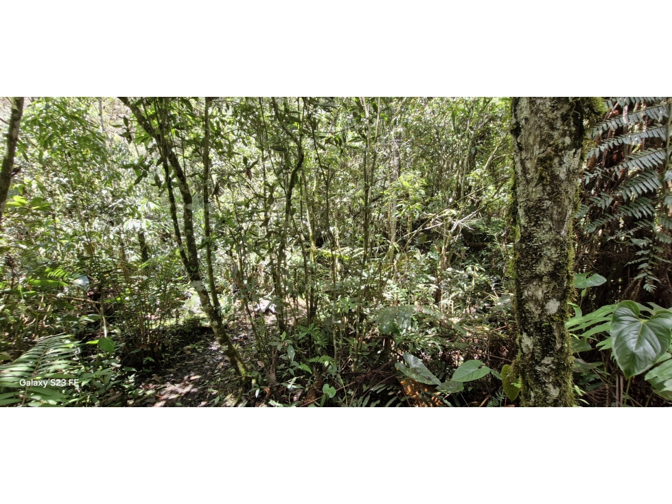 Lote en parcelación para Venta en El Retiro - Rural — foto 2