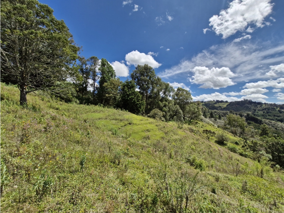 Lote para desarrollo en venta en Rionegro - Sector La Quiebra — foto 5