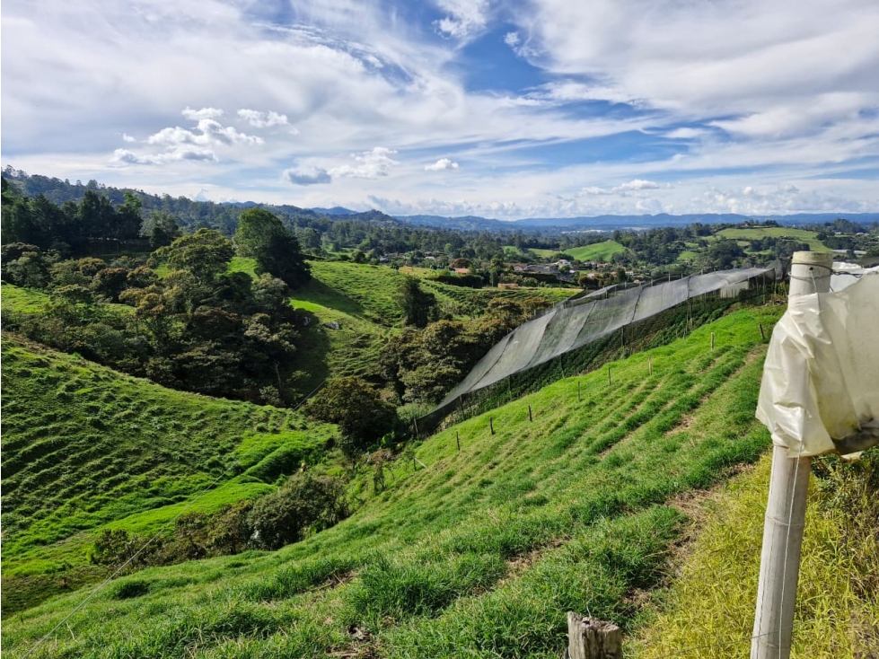Lote para desarrollo en venta en Rionegro - Sector Pontezuela — foto 4