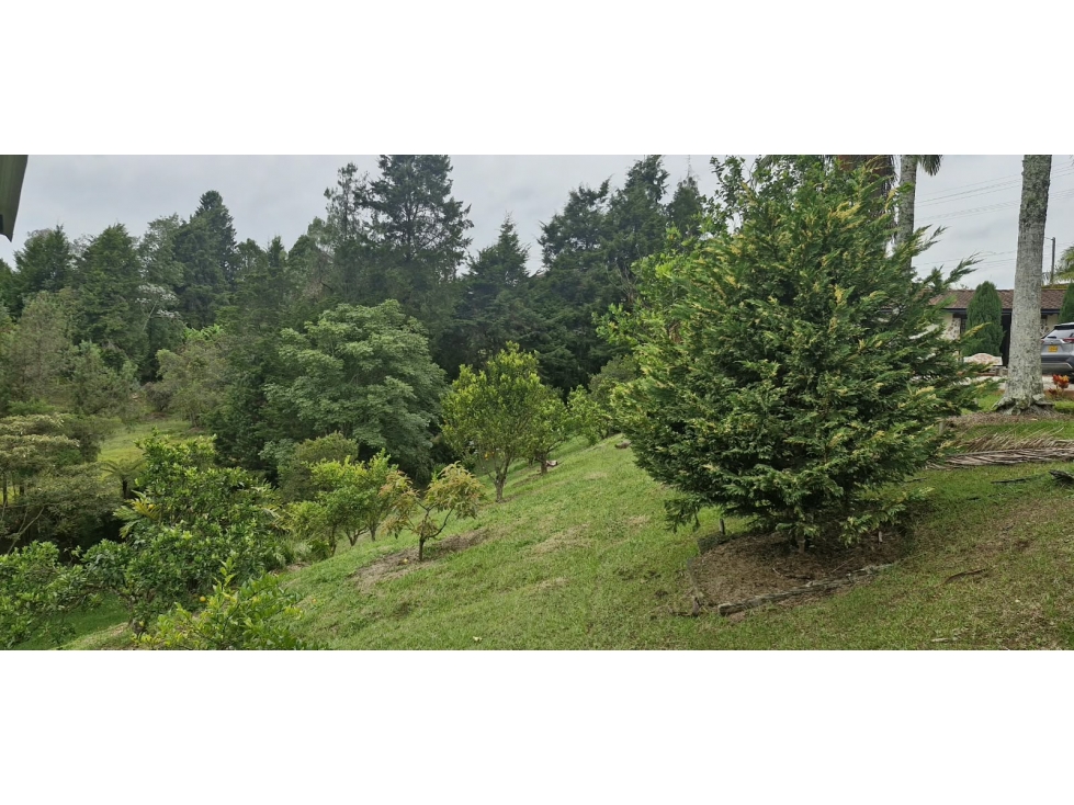 Finca para venta en Rionegro - Sector Las Cuchillas - 4