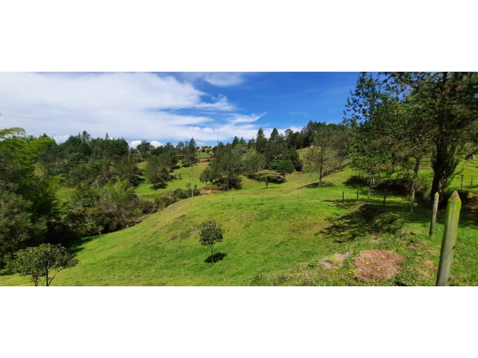 Finca en Venta en Rionegro - Santa Barbara — foto 5