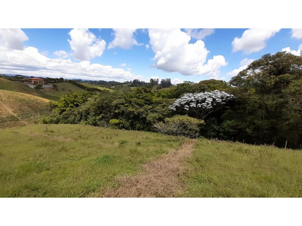 Lote en Venta en El Carmen de Viboral - Vía San Antonio - La Ceja — foto 6