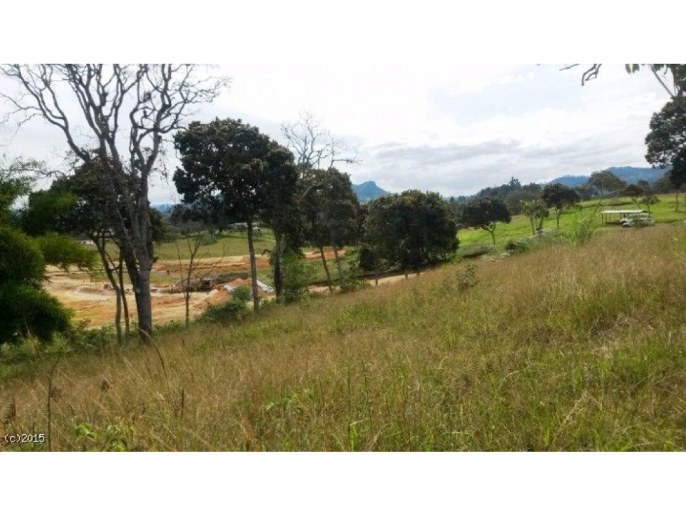 Lote en parcelación para Venta en Rionegro - Llanogrande