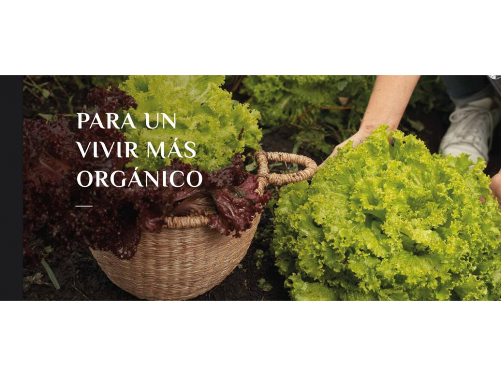 Lote en Urbanización para venta en La Ceja - Cesión de Derechos — foto 3