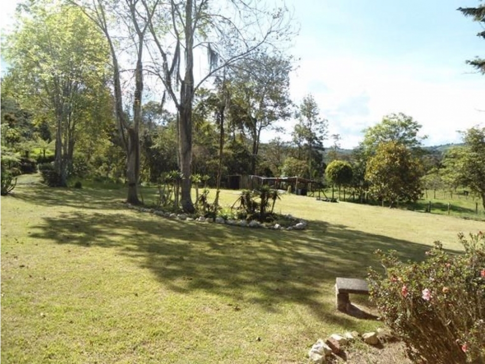 Lote en Venta en Guarne - Vereda La Quiebra — foto 4