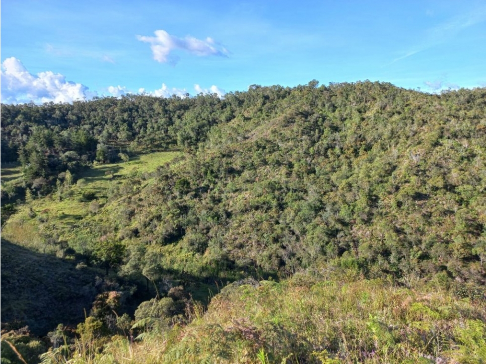 Lote en Venta en San Vicente - Vereda El Calvario — foto 5