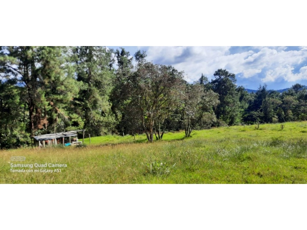 Finca en Venta en Envigado - Vereda Pantanillo — foto 6