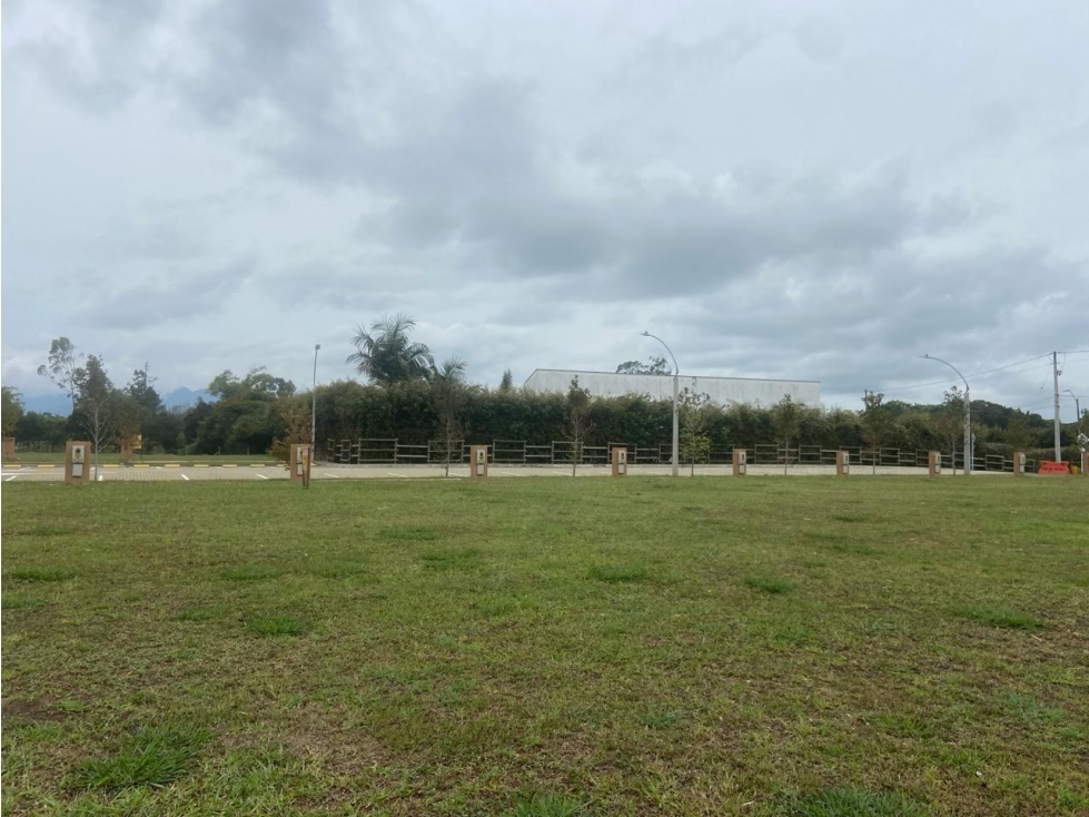 Lote Comercial, en Venta en Rionegro - Chipre