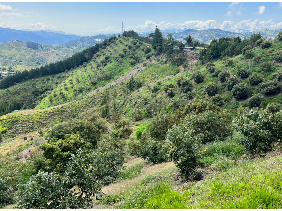 Finca en Venta en Abejorral - Rural - 1