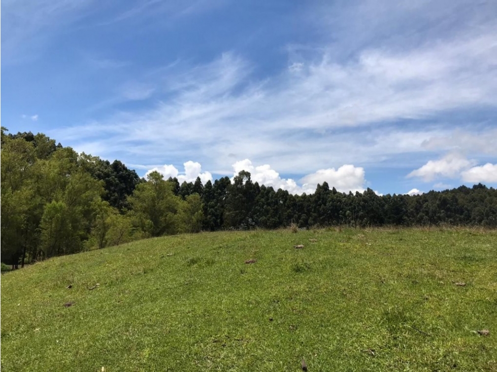 Lote industrial para Venta en Rionegro - El Tranvía — foto 4