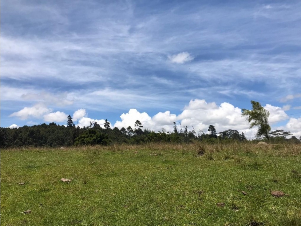 Lote industrial para Venta en Marinilla - El Tranvía — foto 4