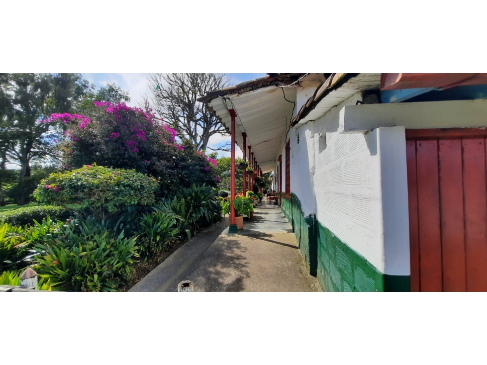 Lote en Venta en El Carmen de Viboral - Rural — foto 4