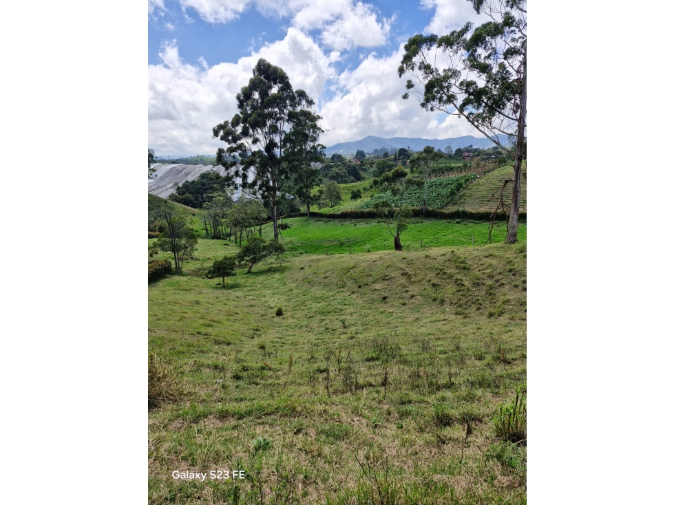 Lote independiente para venta en El Carmen de Viboral - Rural — foto 4