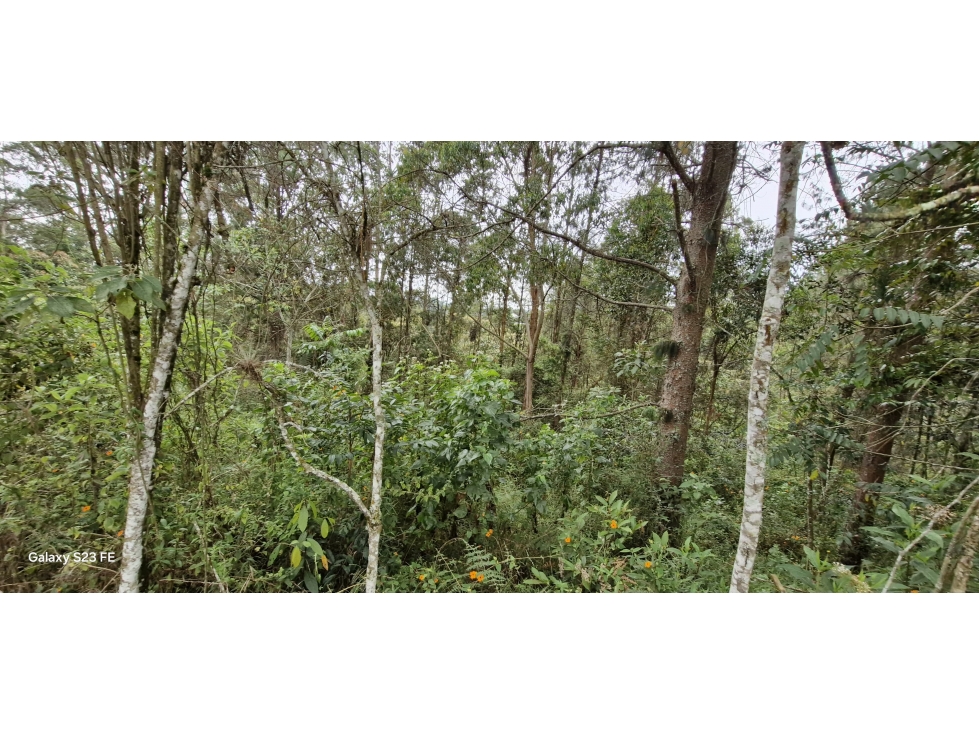 Lote para venta en Rionegro - La Convención — foto 5