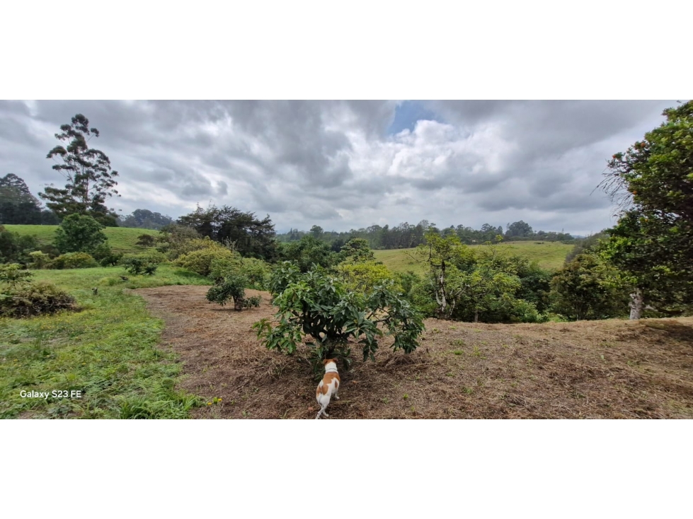Lote para venta en Rionegro - Aeropuerto — foto 2