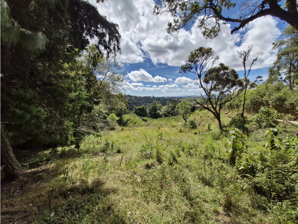 Lote para desarrollo en venta en Rionegro - Sector La Quiebra — foto 6