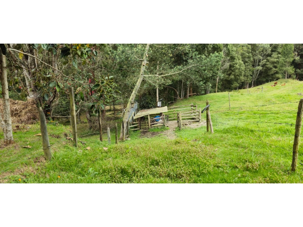 Lote en parcelación para venta en Envigado — foto 4