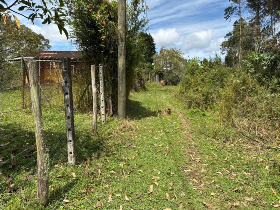 Lote independiente para venta en Rionegro — foto 4