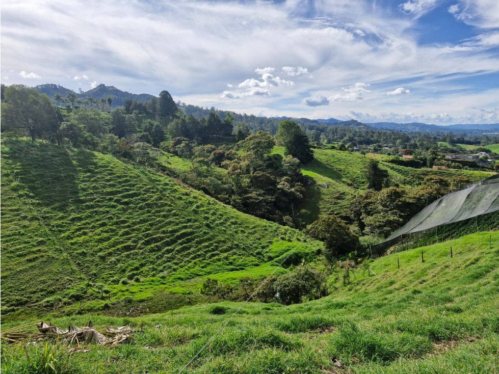 Lote para desarrollo en venta en Rionegro - Sector Pontezuela — foto 5