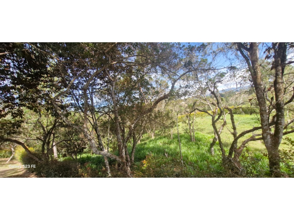 Lote en parcelación para venta en El Carmen de Viboral — foto 4