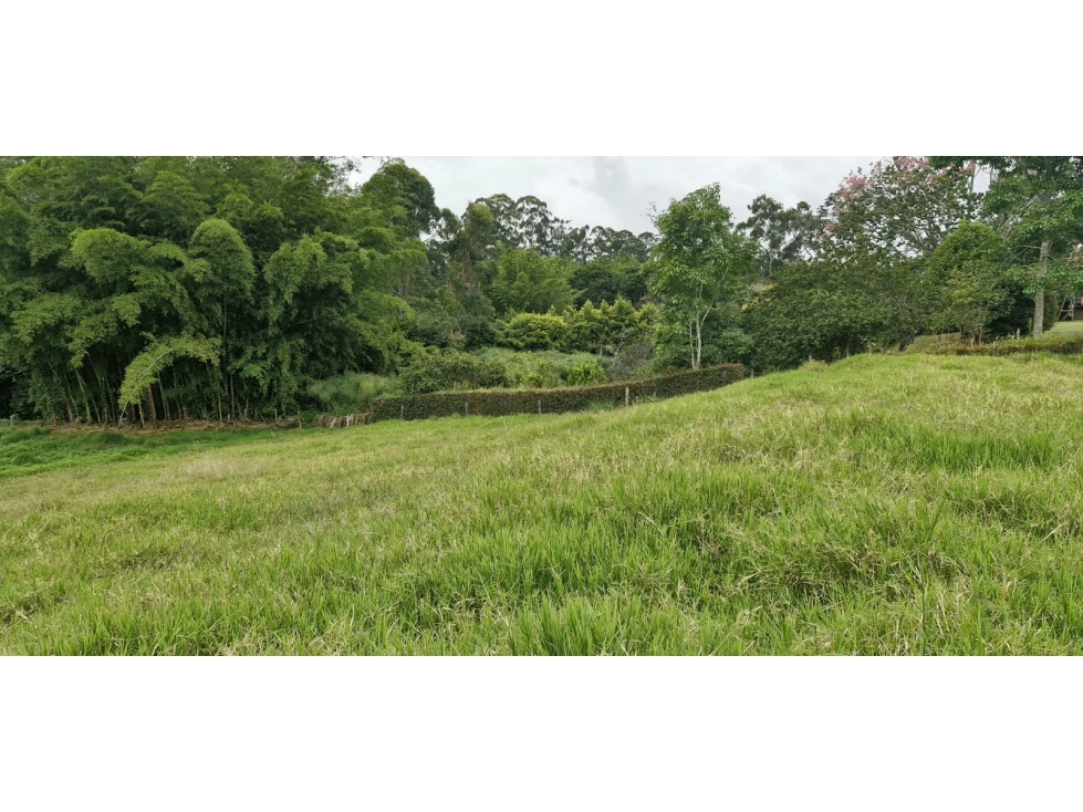 Lote Para Venta En Rionegro - 4