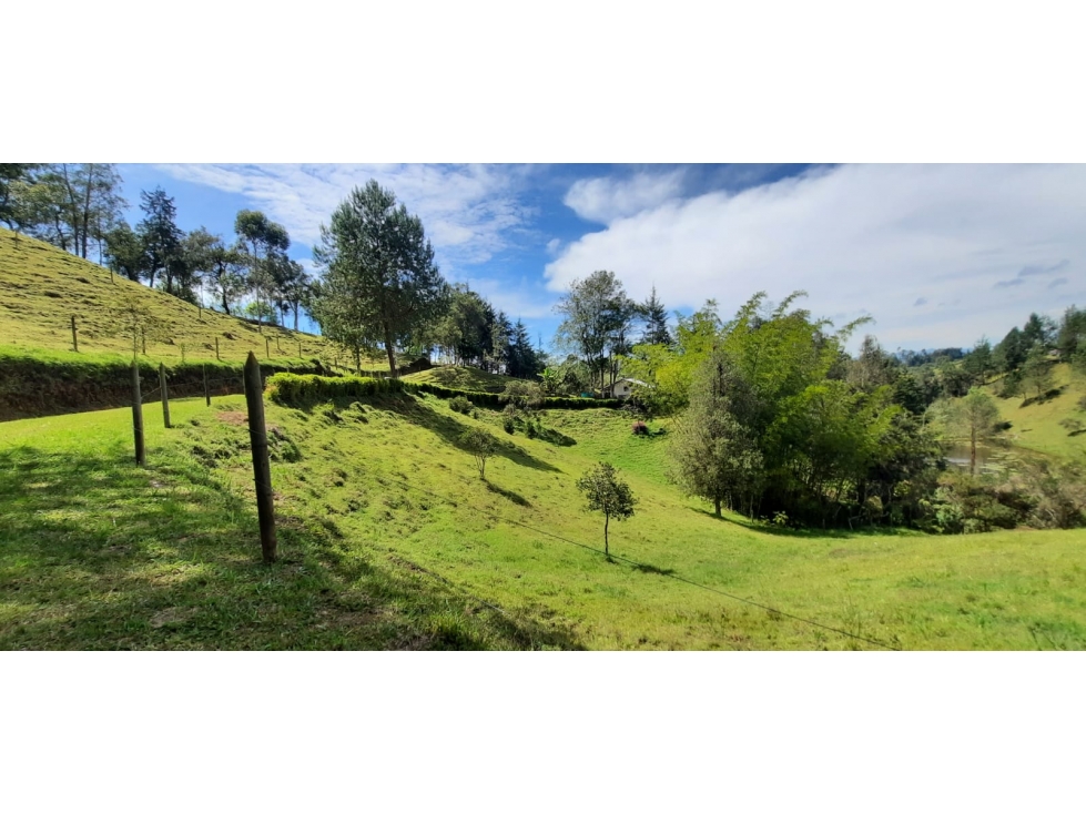 Finca en Venta en Rionegro - Santa Barbara — foto 6