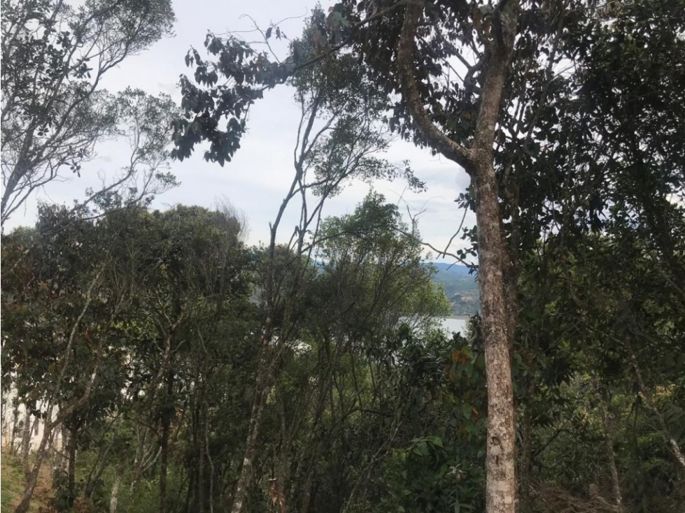 Lote en Venta en El Retiro - El Salado — foto 5