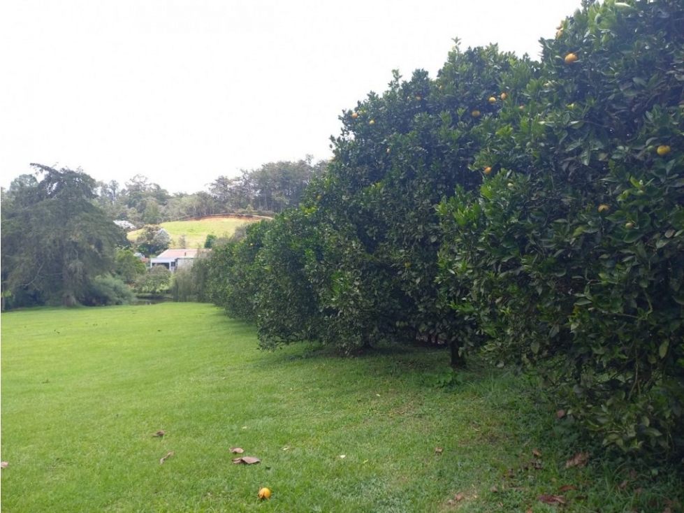 Lote en parcelación para Venta en El Carmen de Viboral - Rural — foto 2