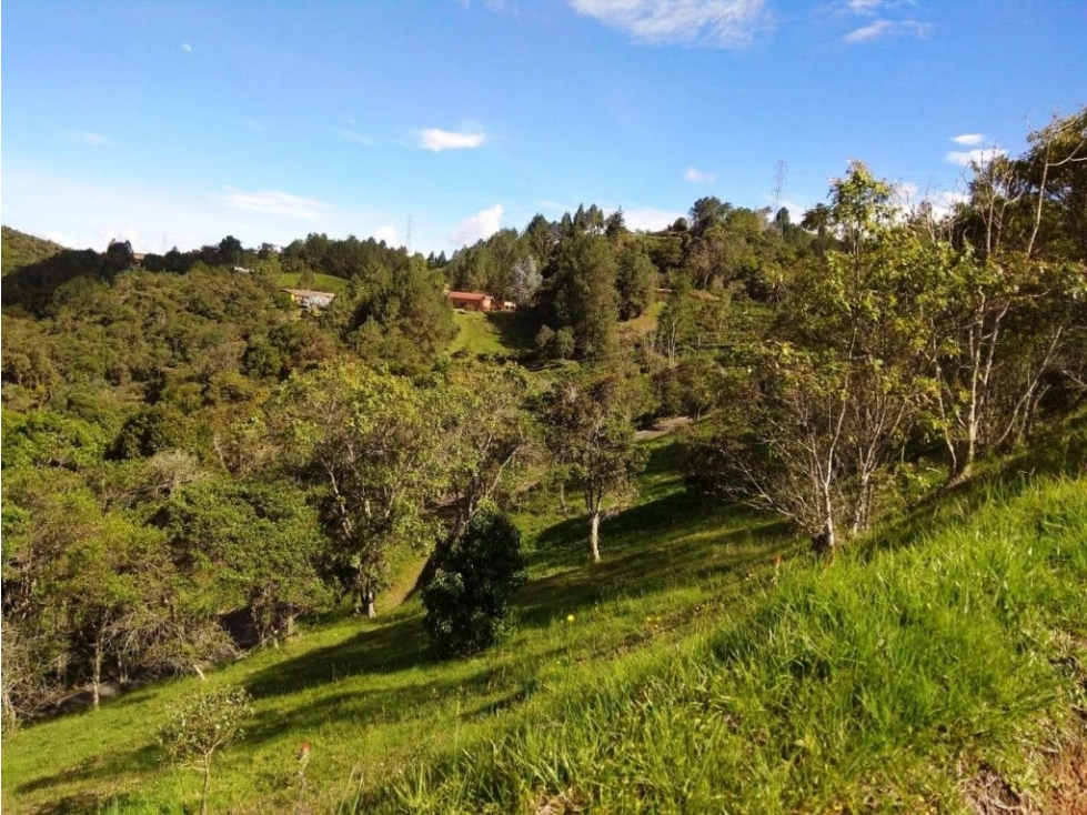 Lote en parcelación para Venta en El Retiro - Carrizales — foto 6