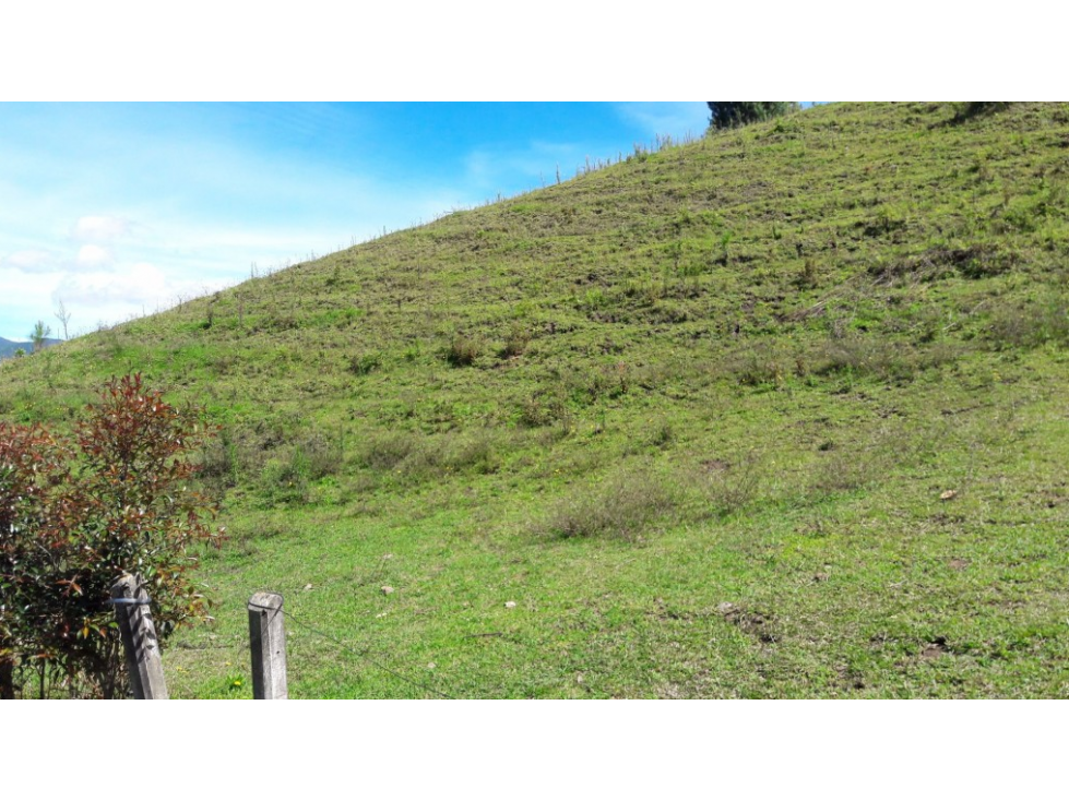 Lote en parcelación para Venta en El Retiro - Rural — foto 5