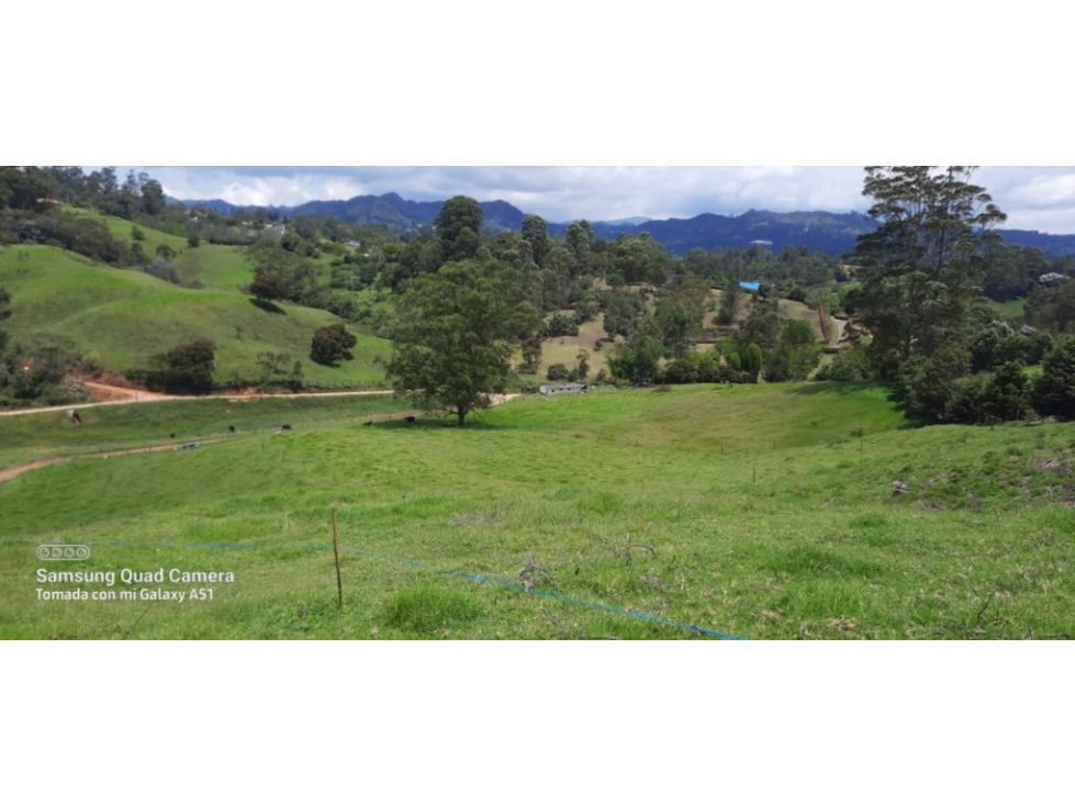 Lote en Venta en Rionegro - Pontezuela