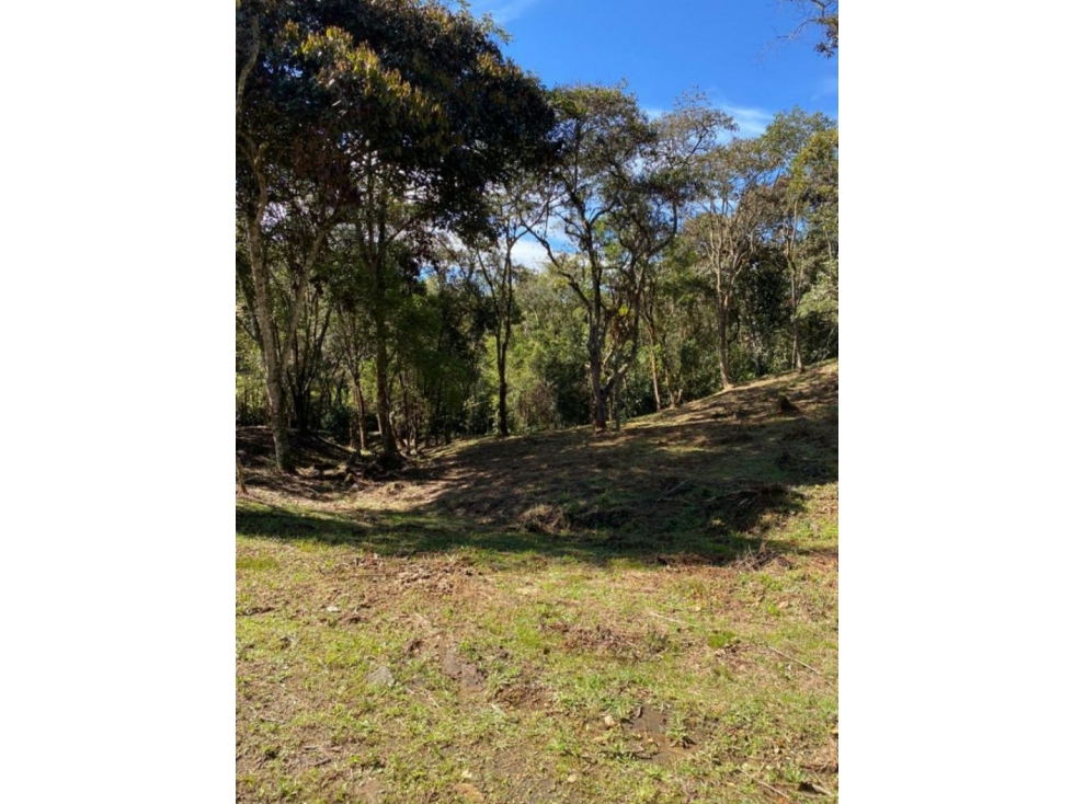 Lote en Venta en Guarne - La Honda — foto 4