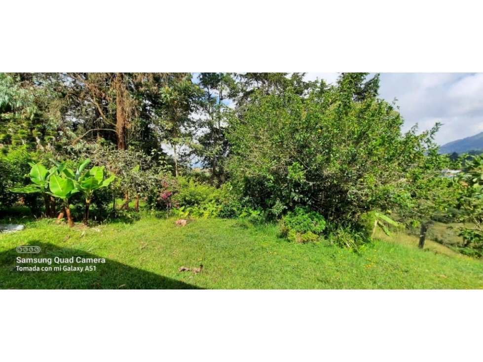 Lote en Venta en Guarne - Vereda Chaparral — foto 5