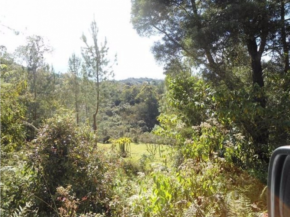 Lote en Venta en Guarne - Vereda La Quiebra — foto 5