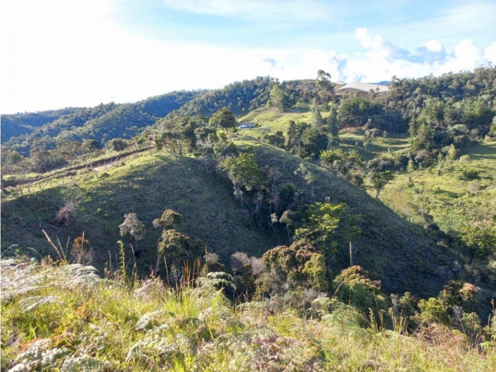 Lote en Venta en San Vicente - Vereda El Calvario — foto 6