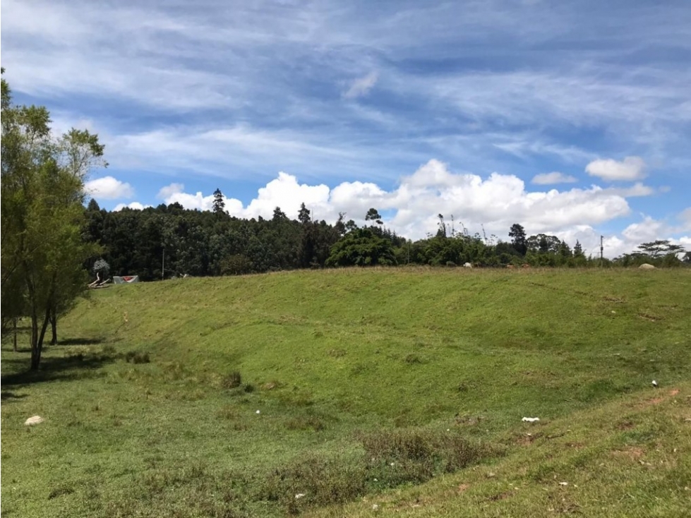Lote industrial para Venta en Rionegro - El Tranvía — foto 5